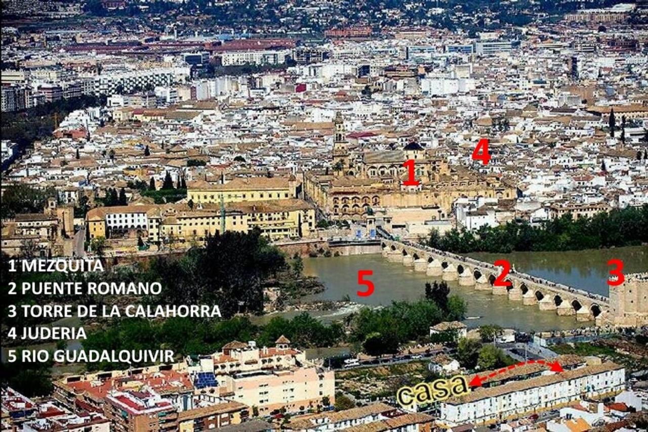 Acogedor Loft En Bajo Centrico Con Parking Wifi Leilighet Córdoba Eksteriør bilde